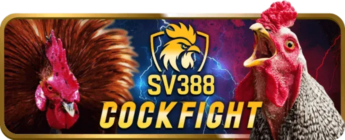 Liên hệ hỗ trợ khách hàng Win23